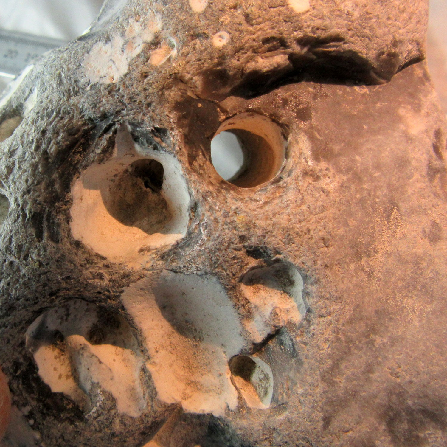 Hühnergott unpoliert von der Ostsee-Insel Rügen – Einzelstück