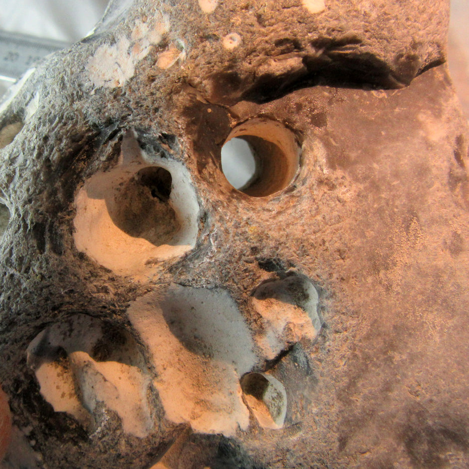 Hühnergott unpoliert von der Ostsee-Insel Rügen – Einzelstück