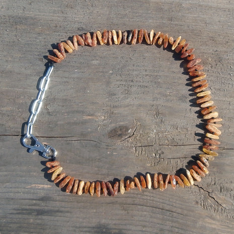 Bernsteinkette für Hunde / Zeckenhalsband