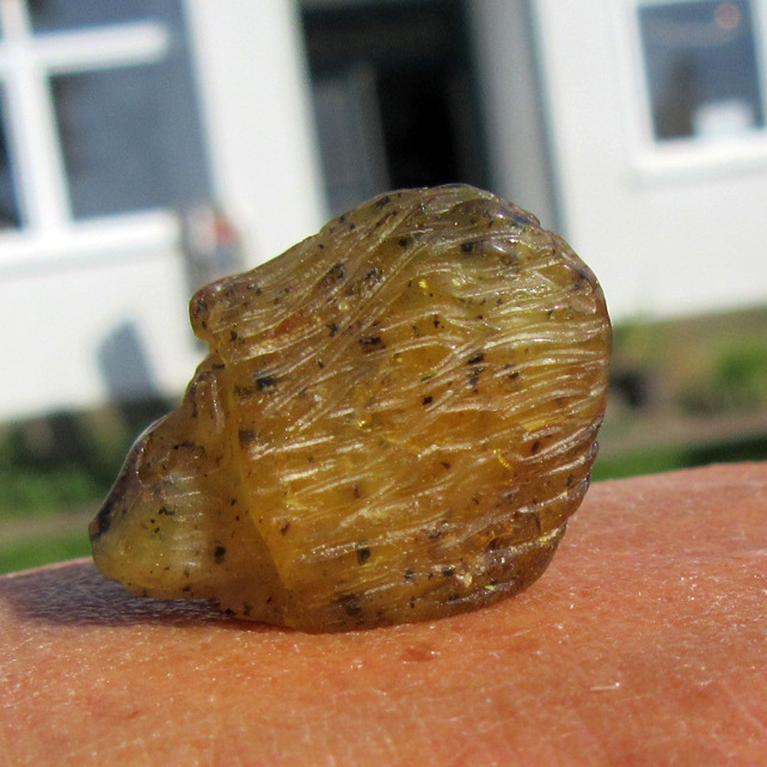 Einzigartiger Igel aus handverlesenem Bernstein