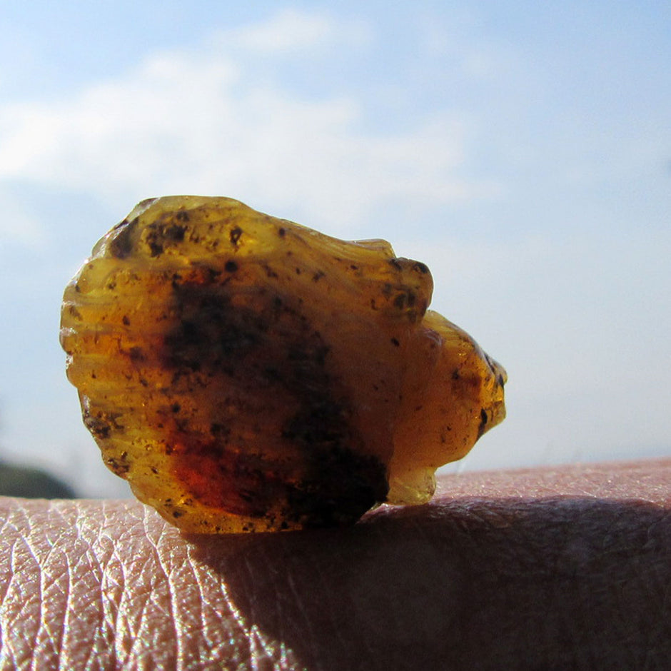 Einzigartiger Igel aus handverlesenem Bernstein