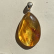 Bernsteinanhänger mit Inklusen – Unikat von der Ostsee-Insel
