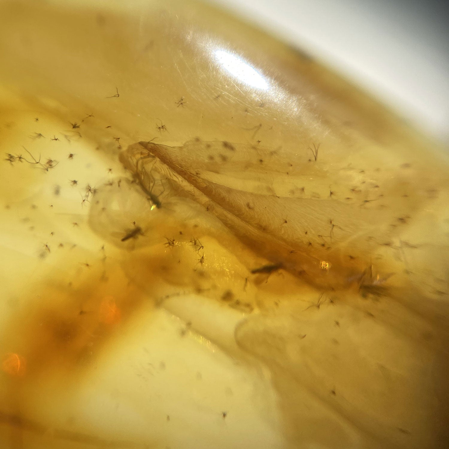 Bernsteinanhänger mit Inklusen – Unikat von der Ostsee-Insel