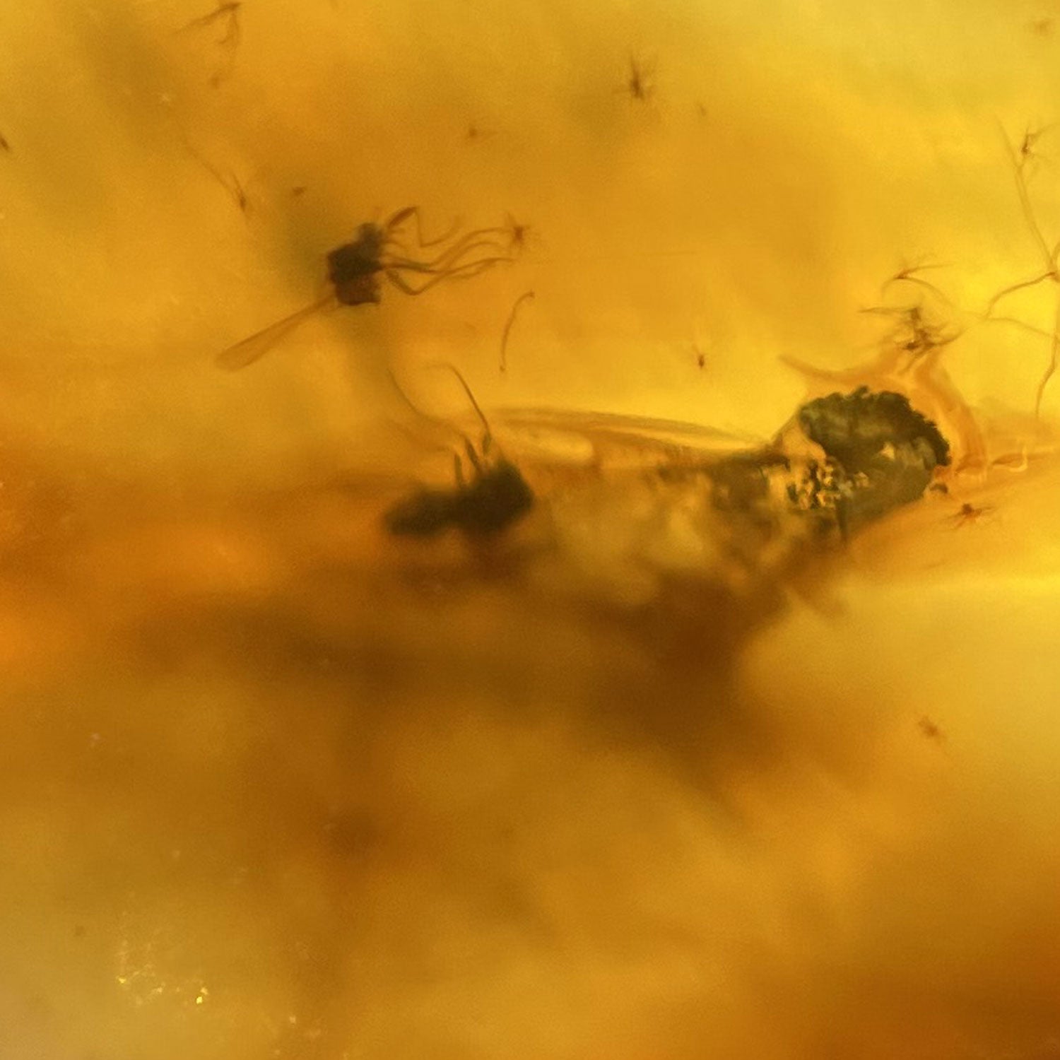 Bernsteinanhänger mit Inklusen – Unikat von der Ostsee-Insel
