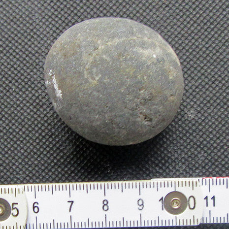 Halber Kugelschwamm Plinthosella squamosa, 4 cm Unikat