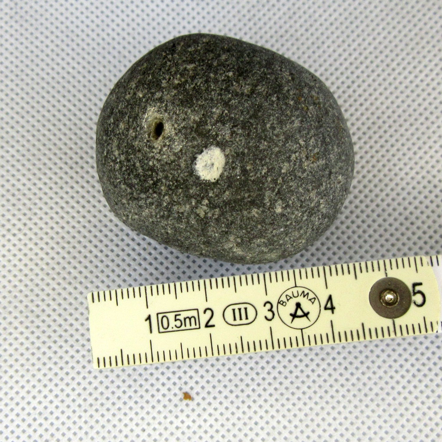 Klapperstein Kugelschwamm – Rasselstein von der Ostsee