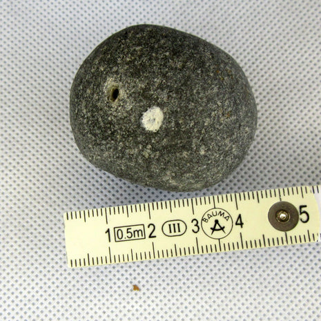 Klapperstein Kugelschwamm – Rasselstein von der Ostsee