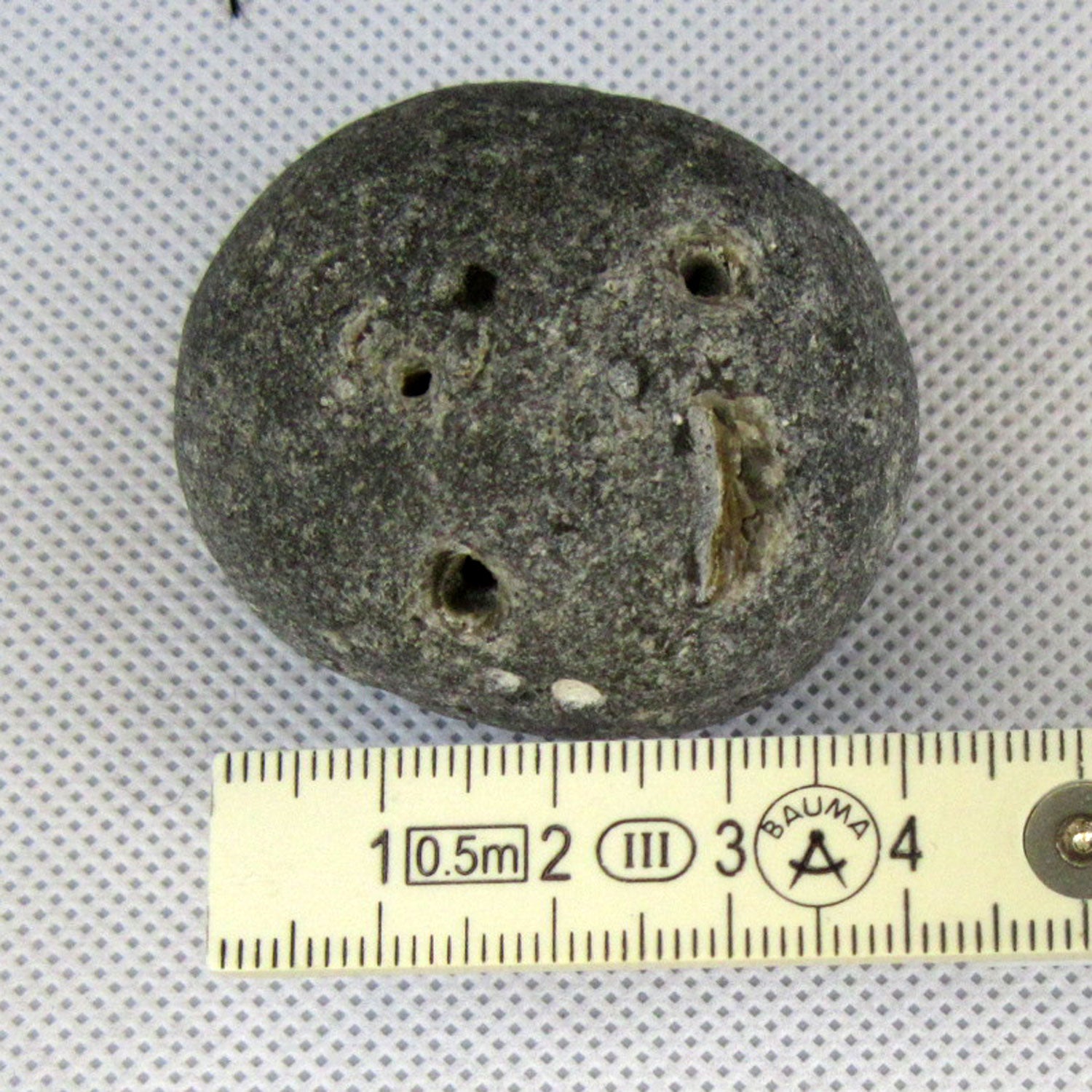 Klapperstein Kugelschwamm – Rasselstein von der Ostsee