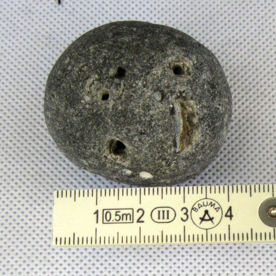 Klapperstein Kugelschwamm – Rasselstein von der Ostsee