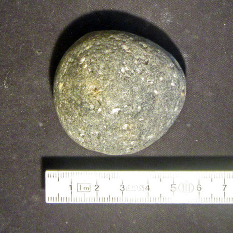 Einzelstück Klapperstein von der Ostsee-Insel Rügen