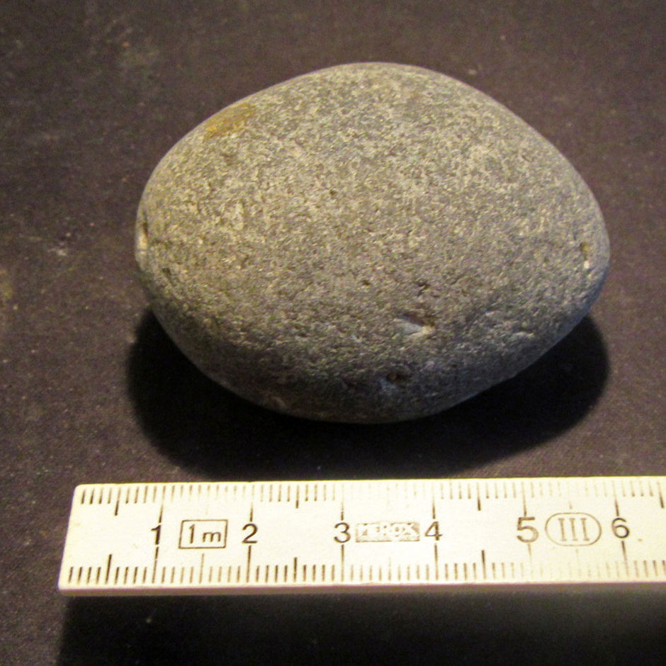 Schöner Klapperstein Kugelschwamm Plinthosella squamosa