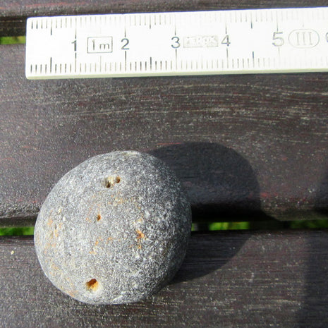 Seltener Kugelschwamm Plinthosella squamosa, Unikat