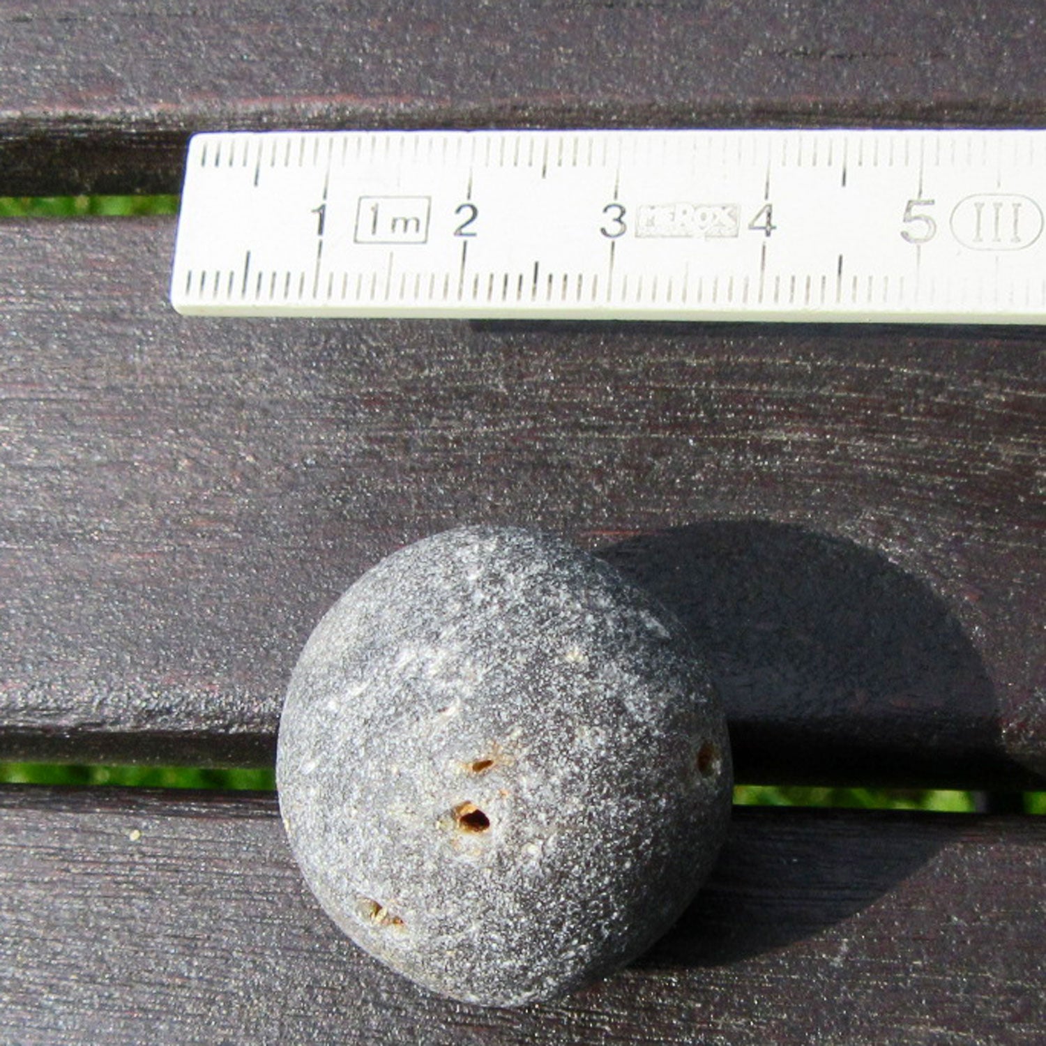 Seltener Kugelschwamm Plinthosella squamosa, Unikat