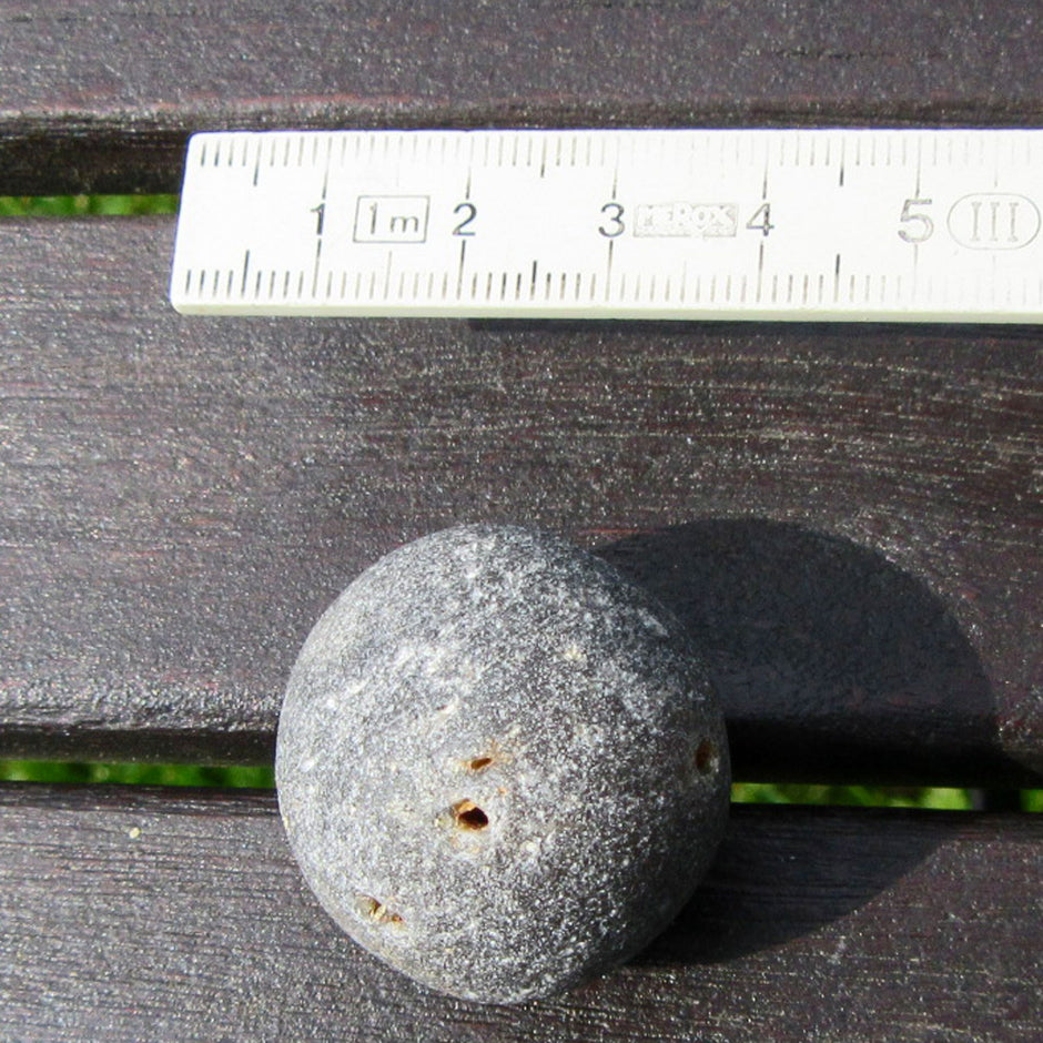 Seltener Kugelschwamm Plinthosella squamosa, Unikat