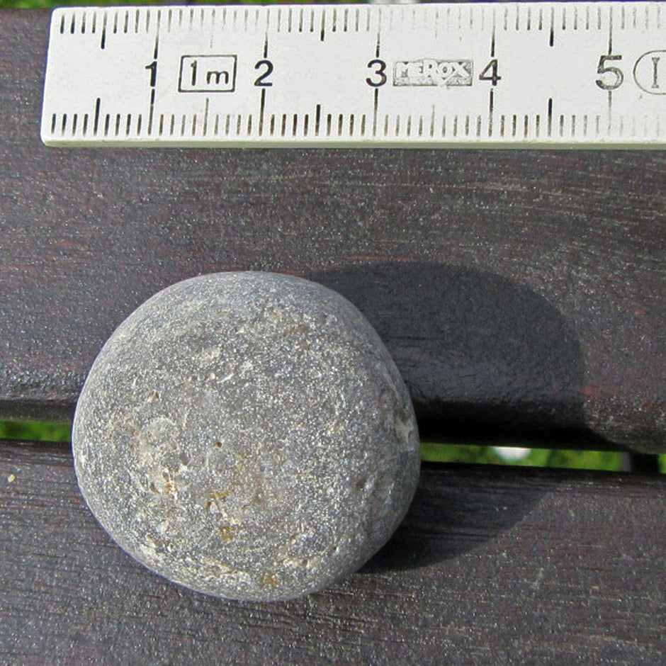 Heller Klapperstein , Kugelschwamm Plinthosella squamosa