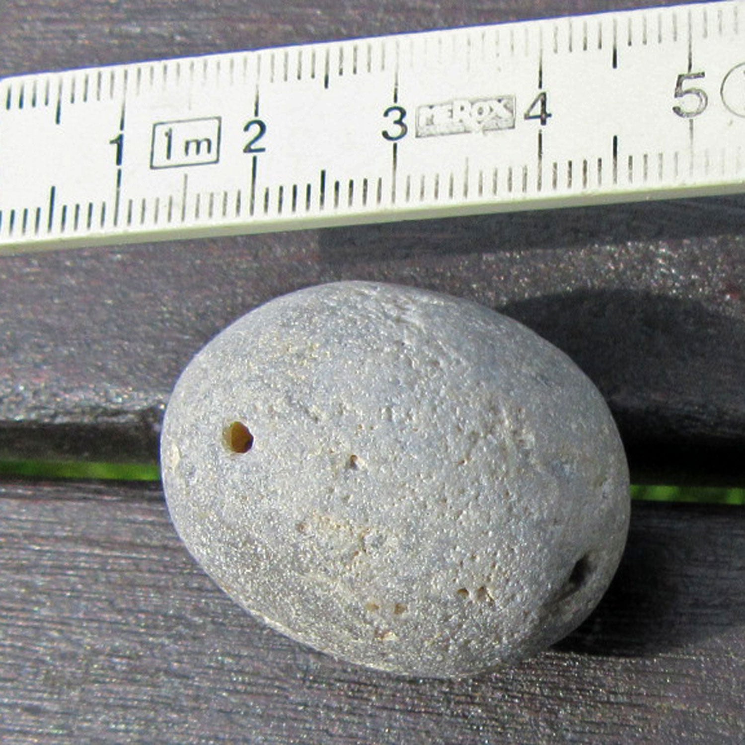 Heller Klapperstein , Kugelschwamm Plinthosella squamosa