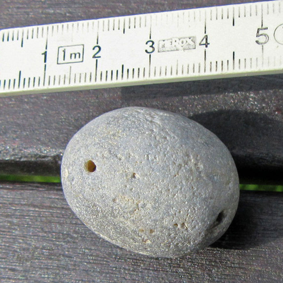 Heller Klapperstein , Kugelschwamm Plinthosella squamosa