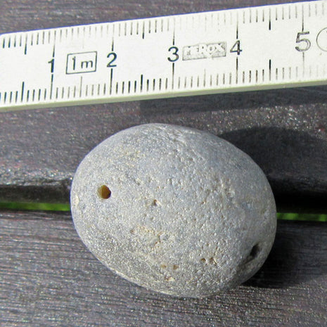 Heller Klapperstein , Kugelschwamm Plinthosella squamosa