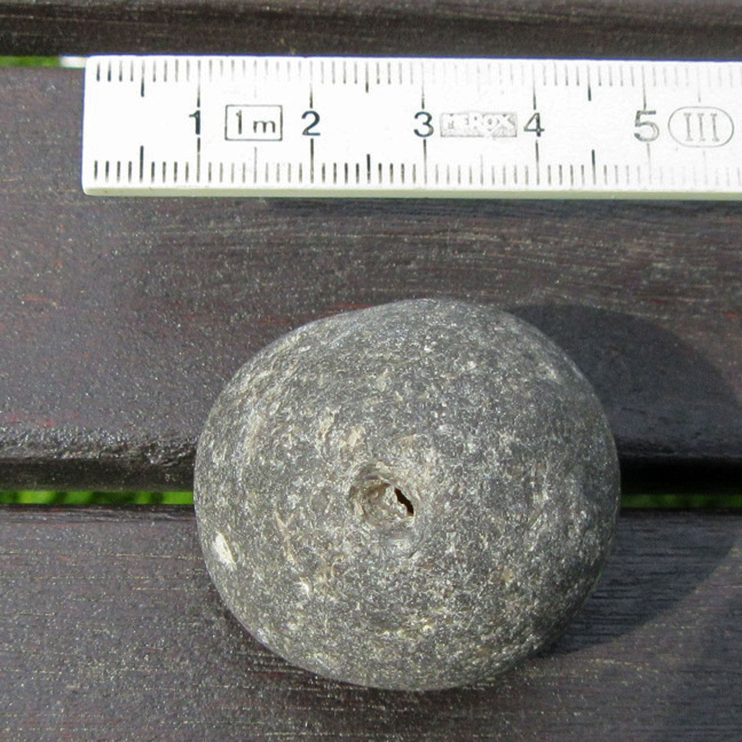 Einzelstück Klapperstein aus Kugelschwamm, Naturform