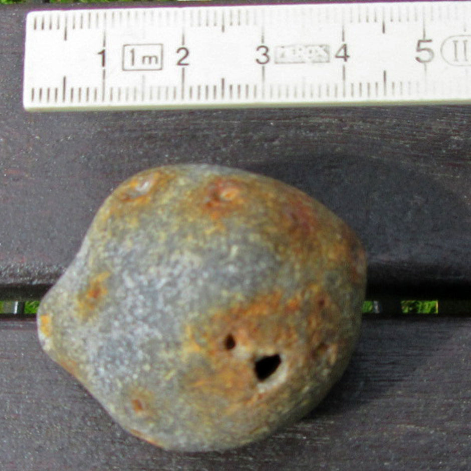 Einzigartiger Kugelschwamm mit Pyrit-Löchern