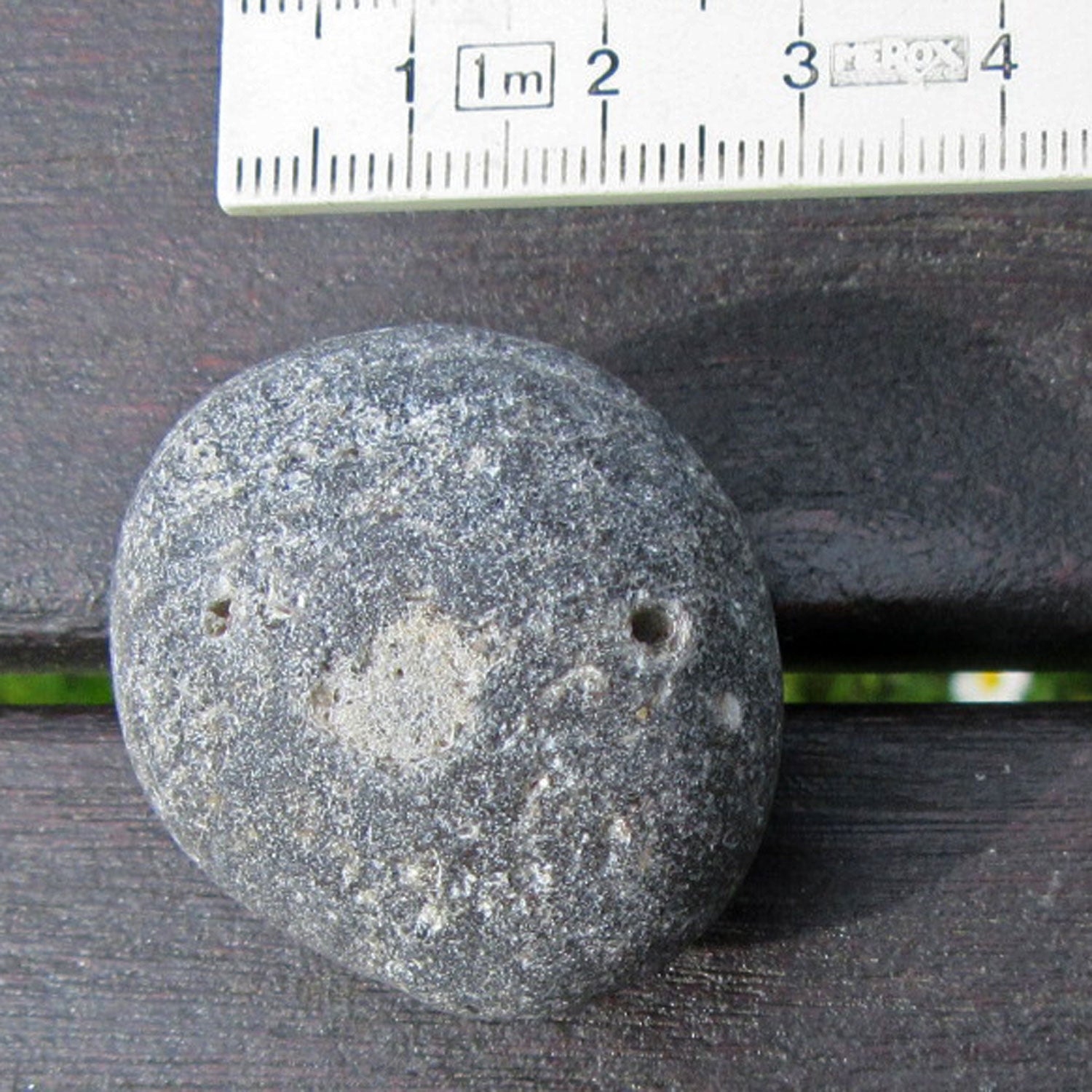 Kugelschwamm Plinthosella squamosa, 3,5 cm, Unikat von Rügen