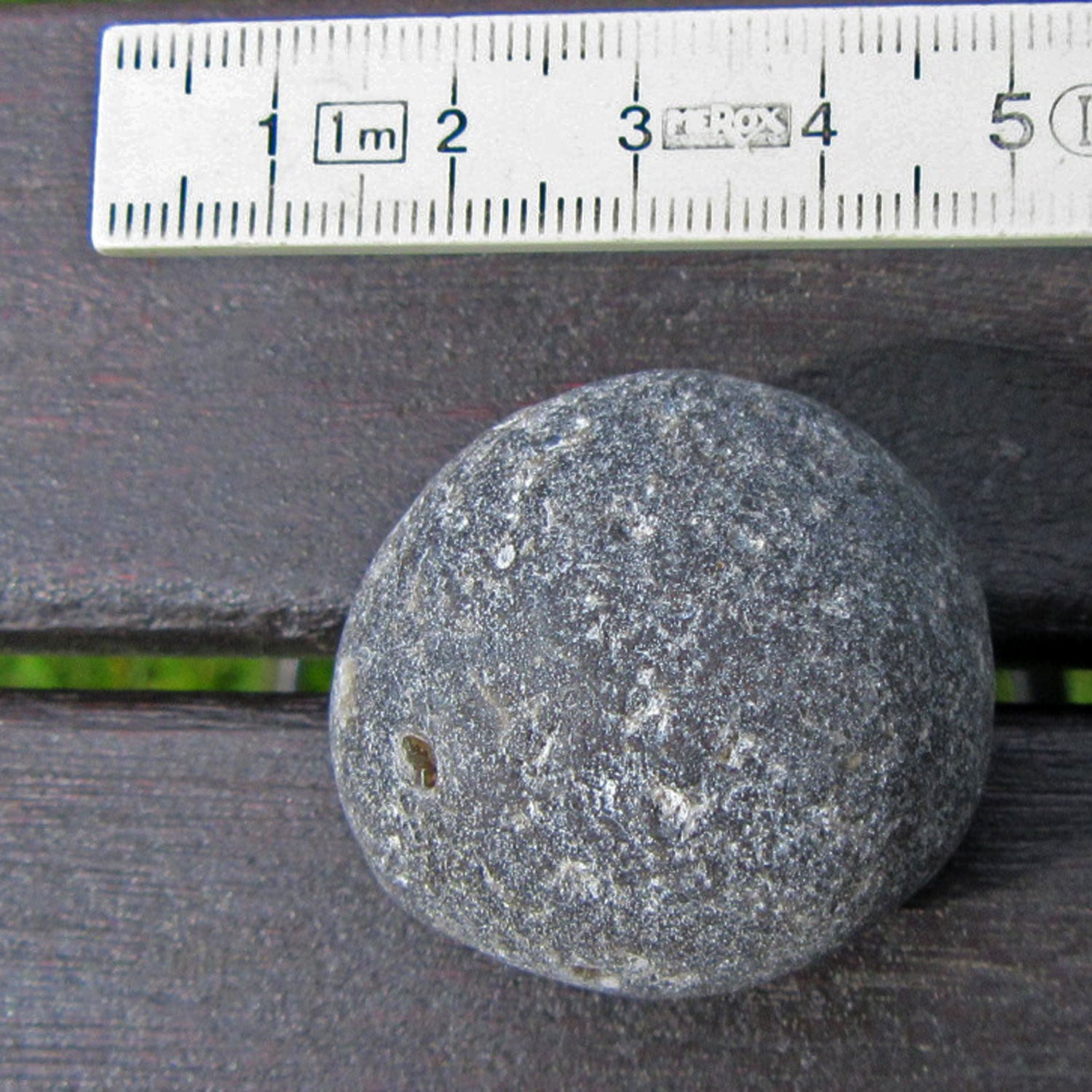 Kugelschwamm Plinthosella squamosa, 3,5 cm, Unikat von Rügen