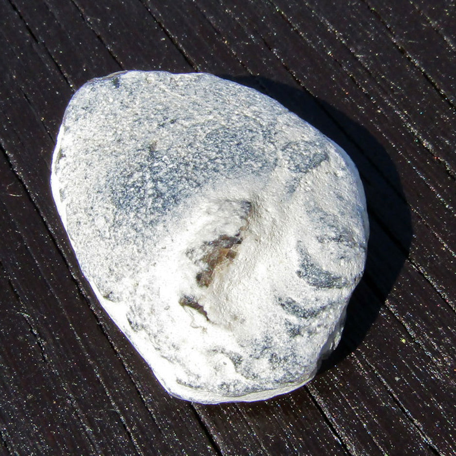 Krebsgang-Abdruck im Feuerstein, 70 Millionen Jahre alt