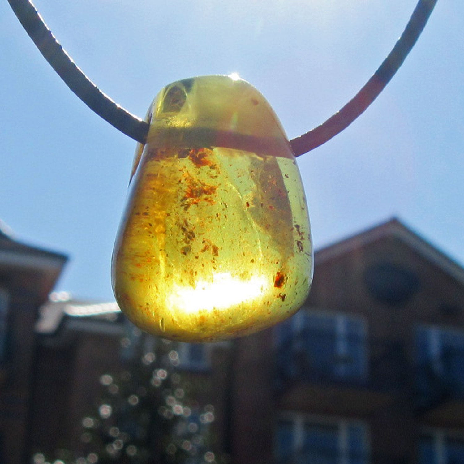 Ledercollier mit poliertem Bernstein - Unikat