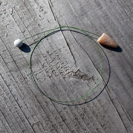 Lesezeichen „Donnerkeil & Kalkschwamm“