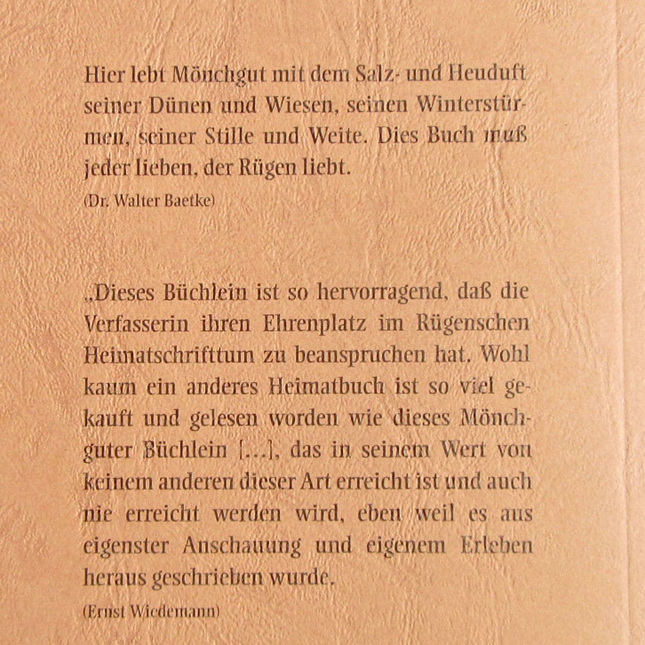 Nivellierarbeit der Zeit – Ring aus Bernstein und Holz