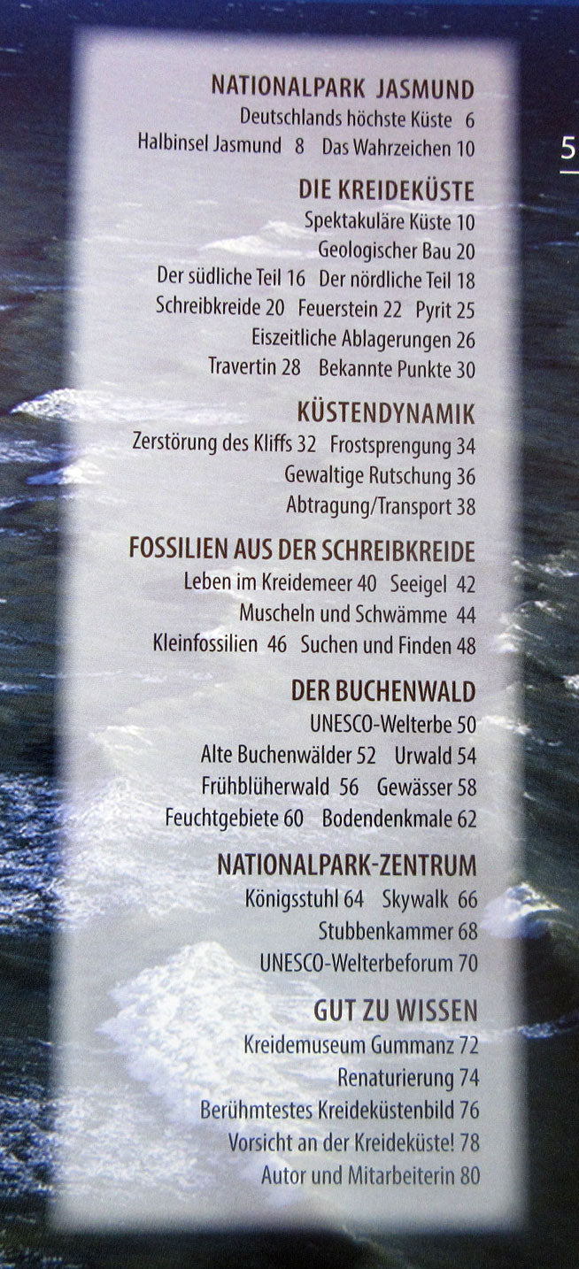 Ring aus Bernstein von der Ostsee-Insel Rügen