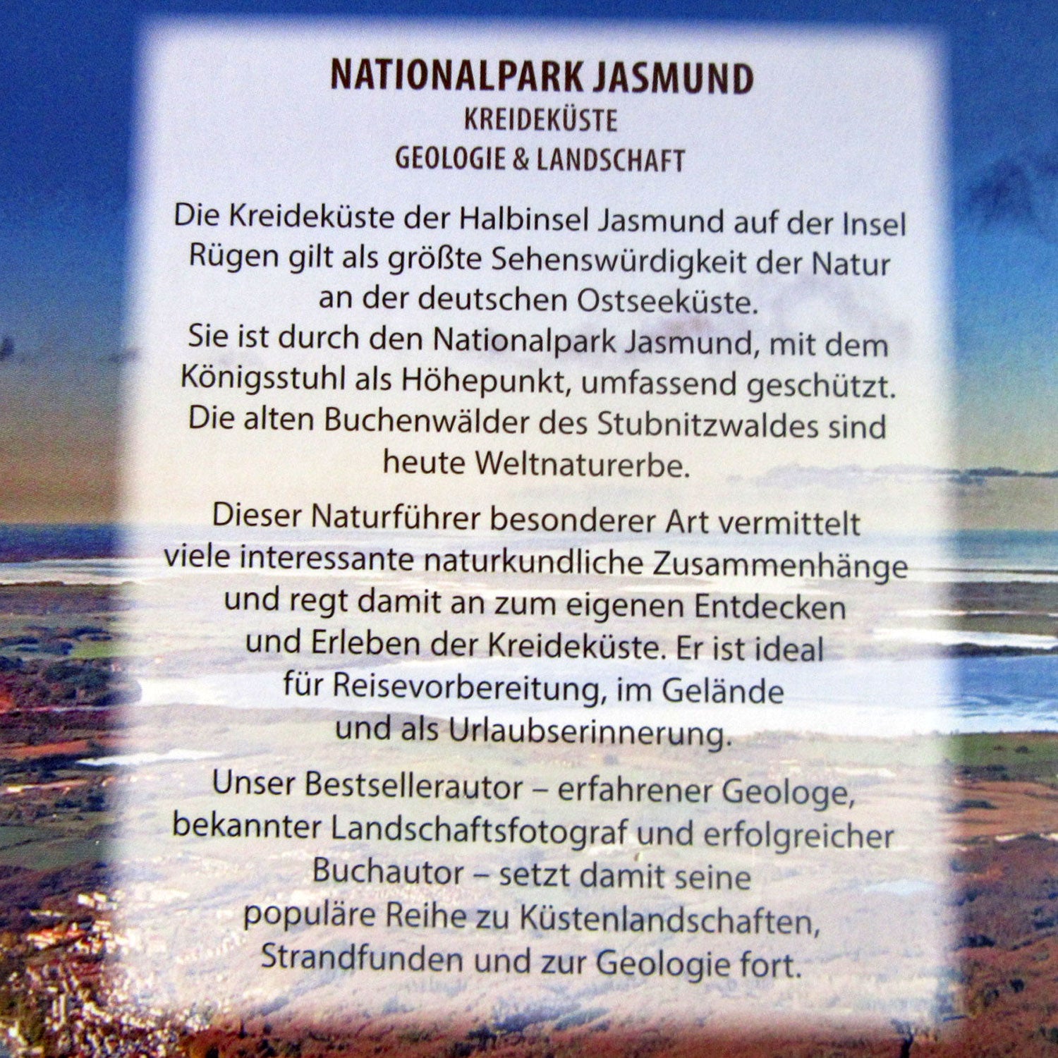 Ring aus Bernstein von der Ostsee-Insel Rügen