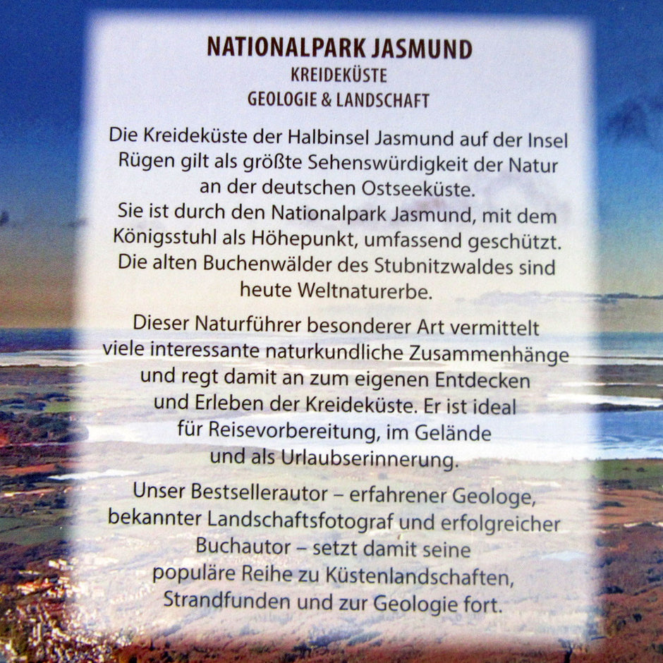 Ring aus Bernstein von der Ostsee-Insel Rügen