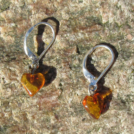 Einzelstück: Ohrhänger aus Bernstein in Herzform