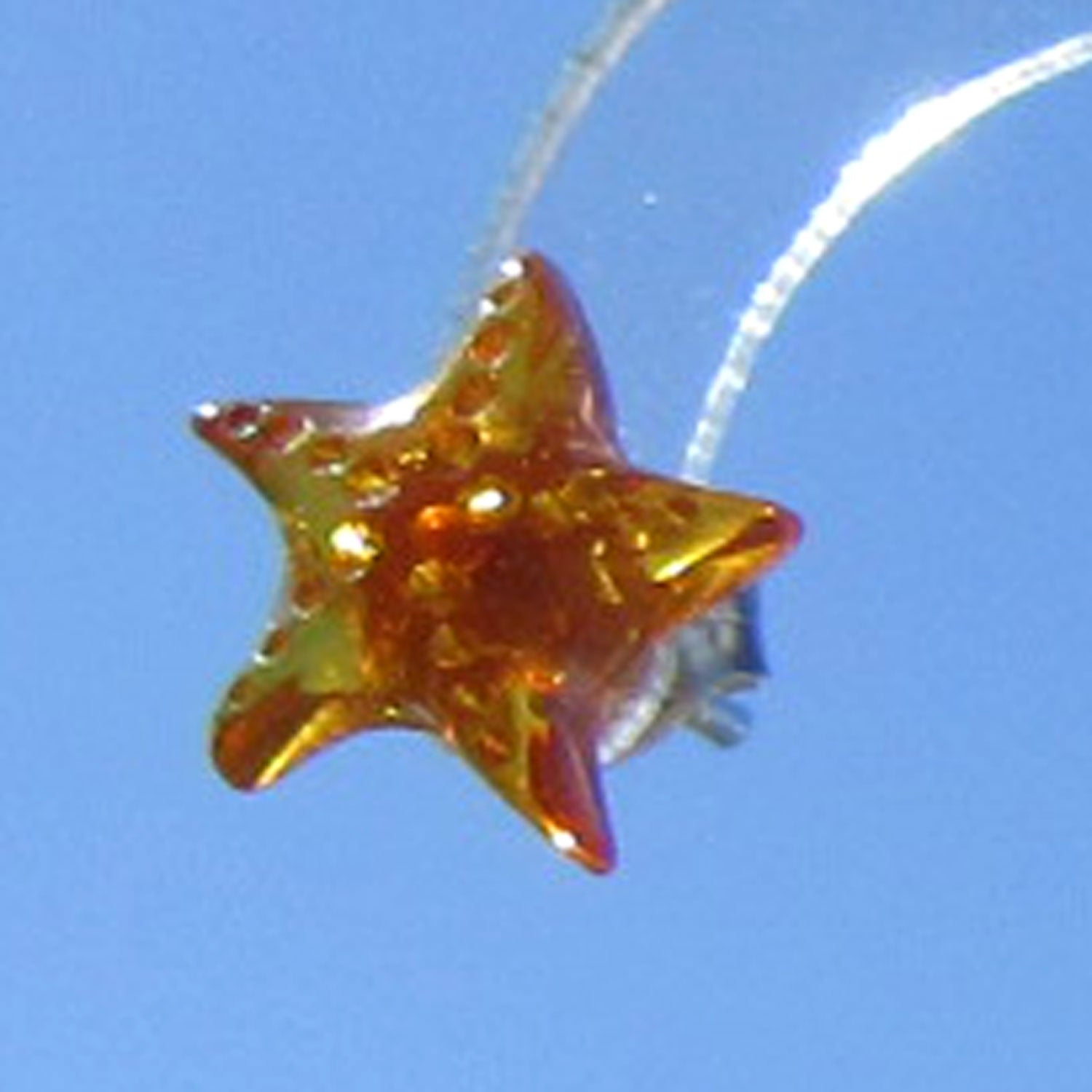 Seestern Ohrstecker aus sonnengelben Bernstein, Unikat