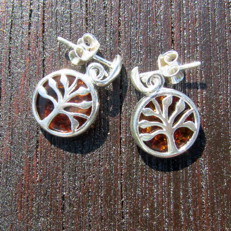 Edle Ohrstecker aus kognacfarbenem Bernstein und Silber