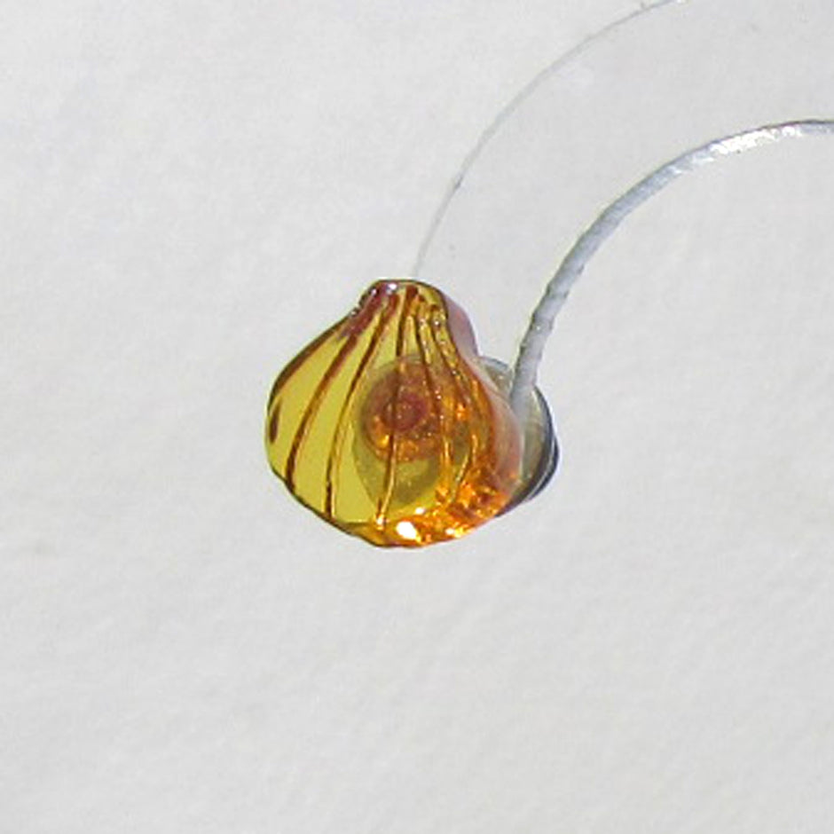 Einzelstück Ohrstecker Muschel aus Bernstein und Silber