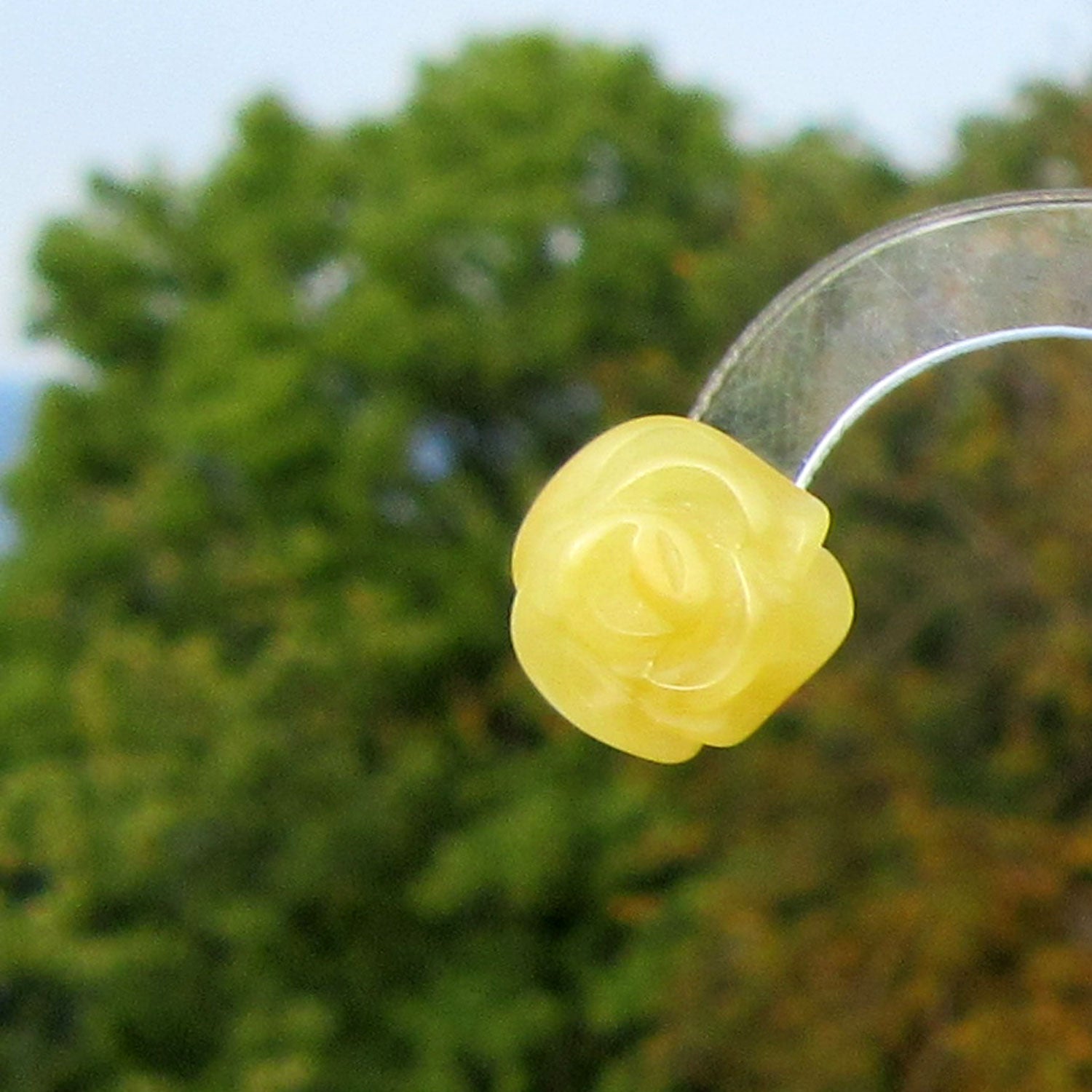 Ohrstecker aus 925er Silber mit Bernsteinröschen