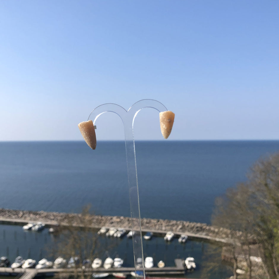 Ohrstecker aus Silber (925) mit Donnerkeilspitzen, Unikat