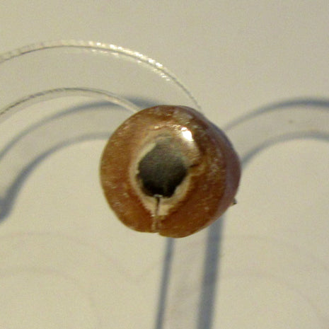 Ohrstecker aus Donnerkeilscheibe mit Feuersteinkern