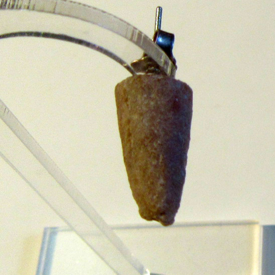 Ohrstecker aus Donnerkeilspitze von Rügen, Unikat