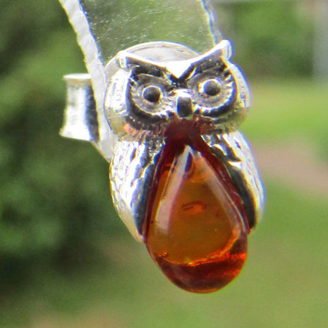 Kleine Ohrstecker Eule aus Bernstein und Silber 925