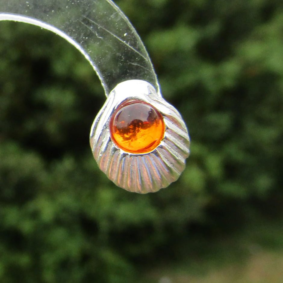 Ohrstecker Muschel mit kognacfarbenem Bernstein, Unikat