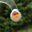 Ohrstecker Muschel mit kognacfarbenem Bernstein, Unikat