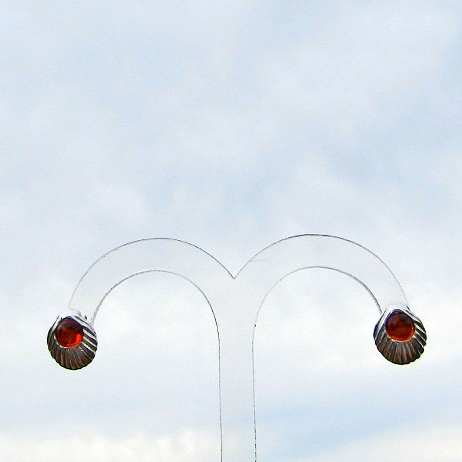 Ohrstecker Muschel mit kognacfarbenem Bernstein, Unikat