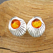 Ohrstecker Muschel mit kognacfarbenem Bernstein, Unikat