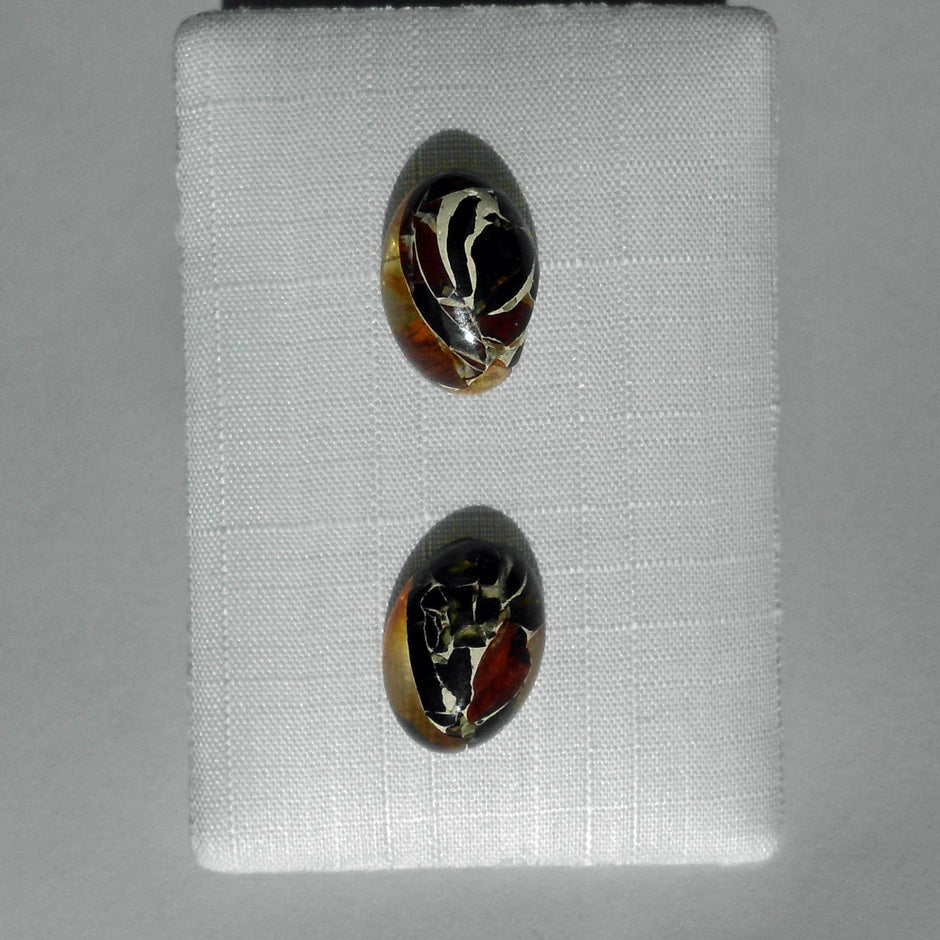 Ohrsteckeraus verbundenem ovalen Bernsteinen / Mosaikbernstein