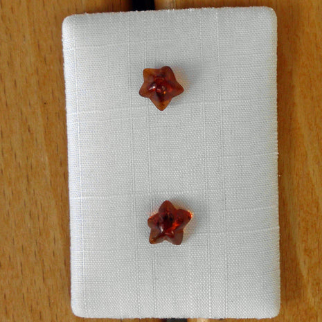 Ohrstecker mit Seesternen aus kognacfarbenem Bernstein