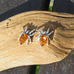 Filigrane Ohrstecker aus Bernstein in Spinnenform