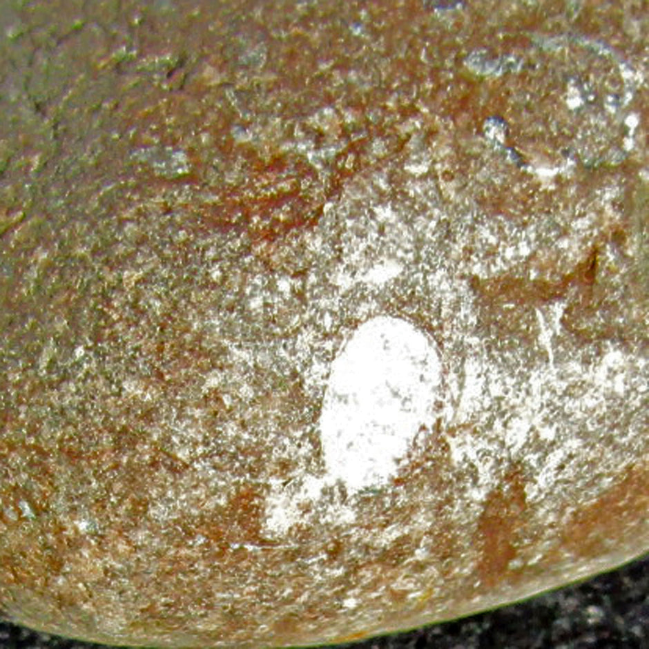 Orthoceras Fossil in bräunlichem Kalkgestein, Unikat